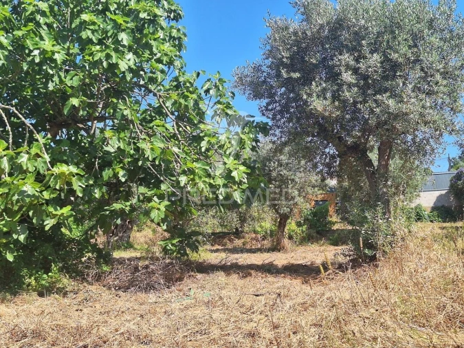 Terreno para Venda em Praia do Ribatejo Foto 14