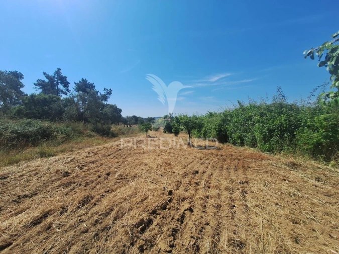 Terreno para Venda em Praia do Ribatejo Foto 22
