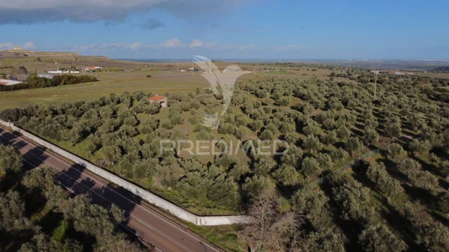 Terreno para Venda em Assunção, Ajuda, Salvador e Santo Ildefonso Foto 2