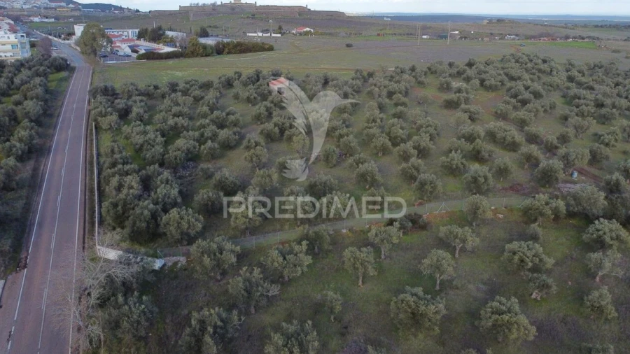 Terreno para Venda em Assunção, Ajuda, Salvador e Santo Ildefonso