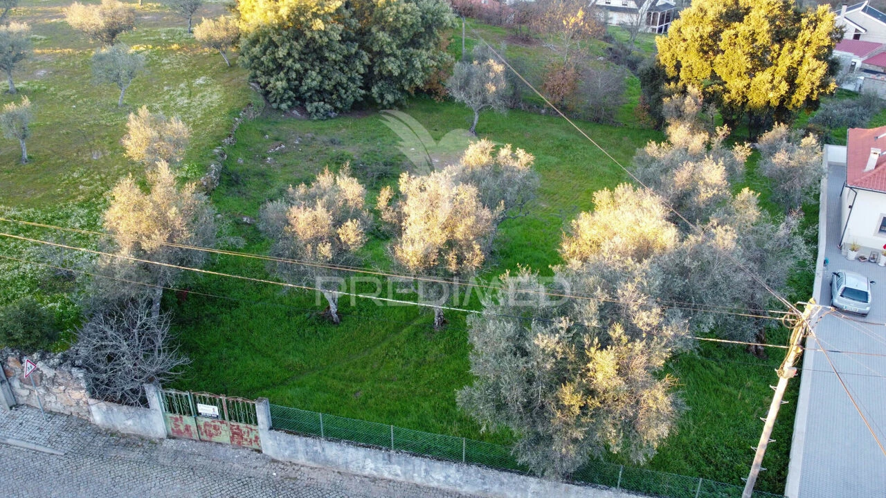 Terreno para Venda em Ratoeira Foto 3