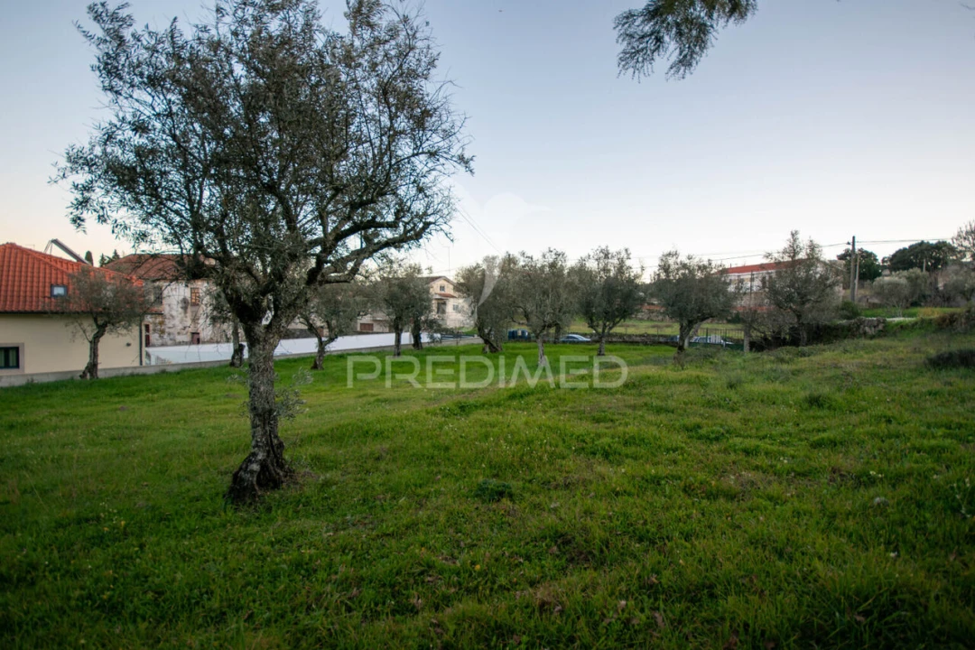 Terreno para Venda em Ratoeira Foto 8