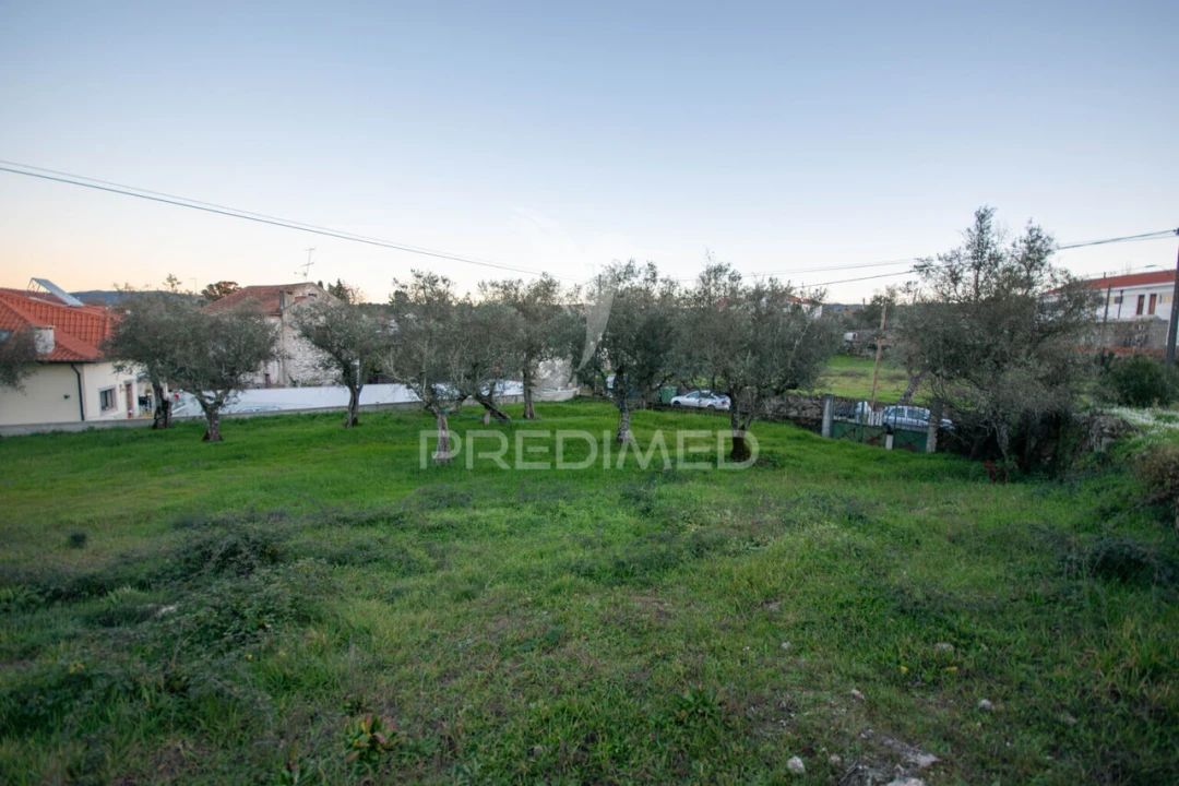 Terreno para Venda em Ratoeira Foto 7