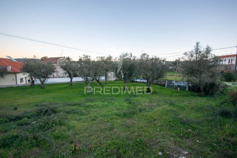 Terreno para Venda em Ratoeira Foto 7