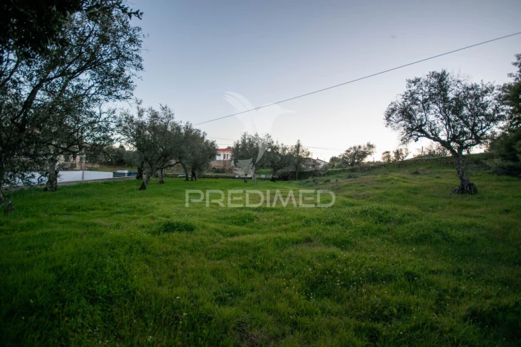 Terreno para Venda em Ratoeira Foto 9