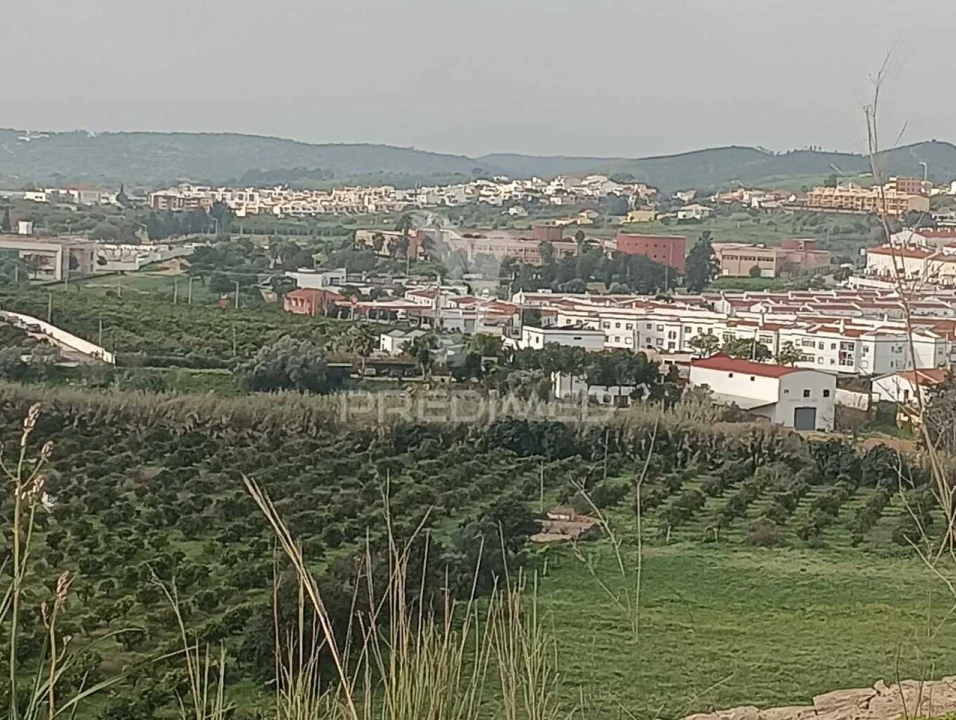 Terreno para Venda em Silves Foto 2