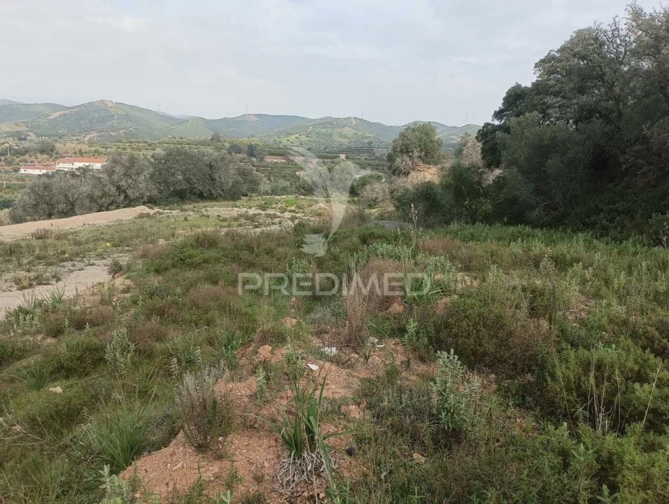 Terreno para Venda em Silves Foto 4