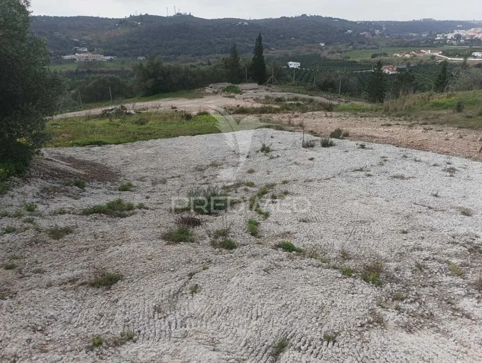 Terreno para Venda em Silves Foto 11