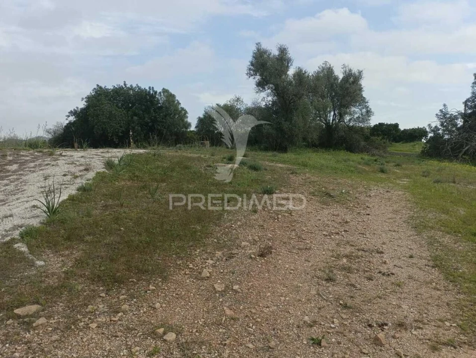 Terreno para Venda em Silves Foto 12