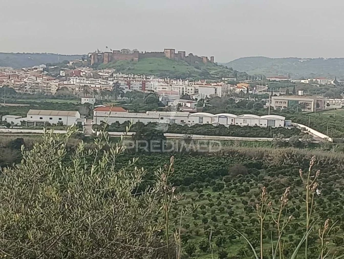 Terreno para Venda em Silves Foto 3