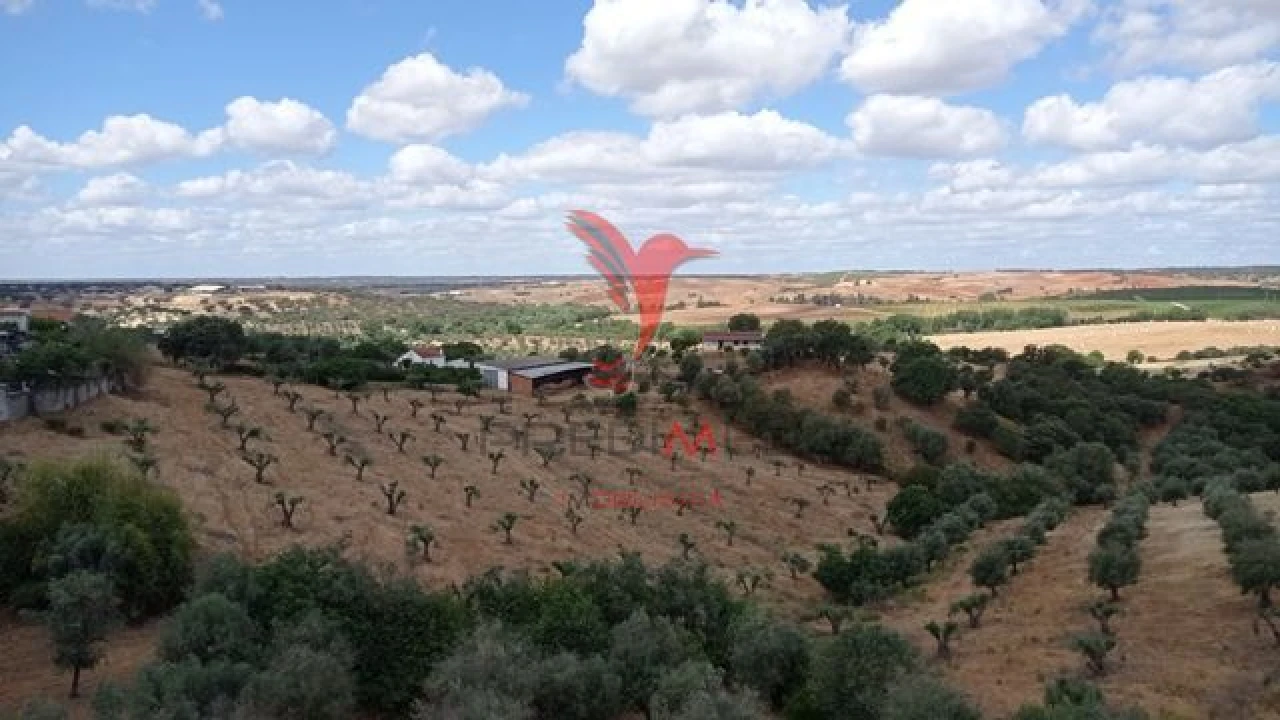 Moradia T2 para Venda em Seda Foto 13