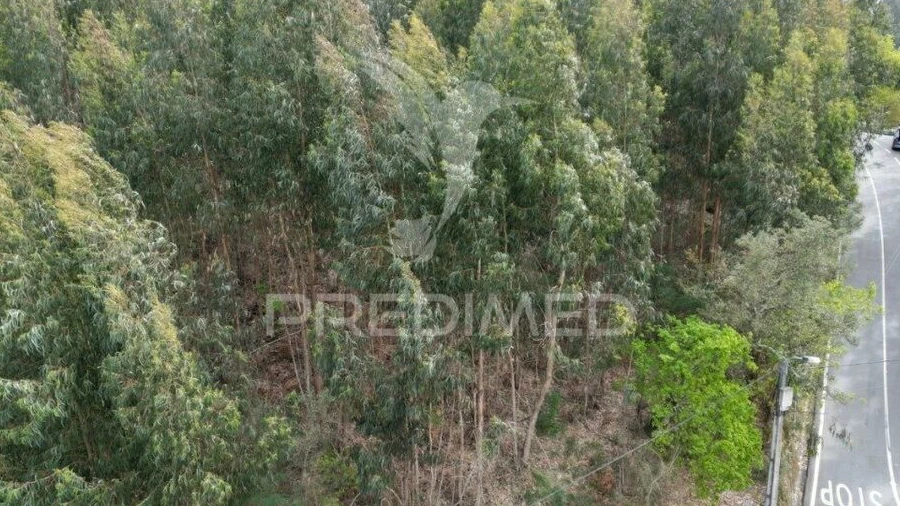 Terreno para Venda em Polvoreira