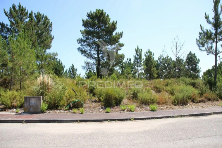 Terreno para Venda em Nossa Senhora da Piedade Foto 2