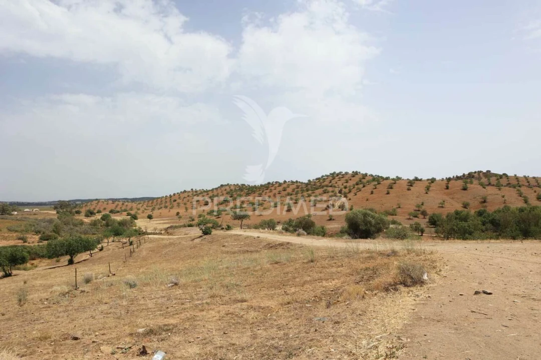 Terreno para Venda em Castro Marim Foto 16