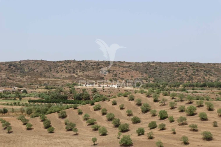 Terreno para Venda em Castro Marim Foto 8