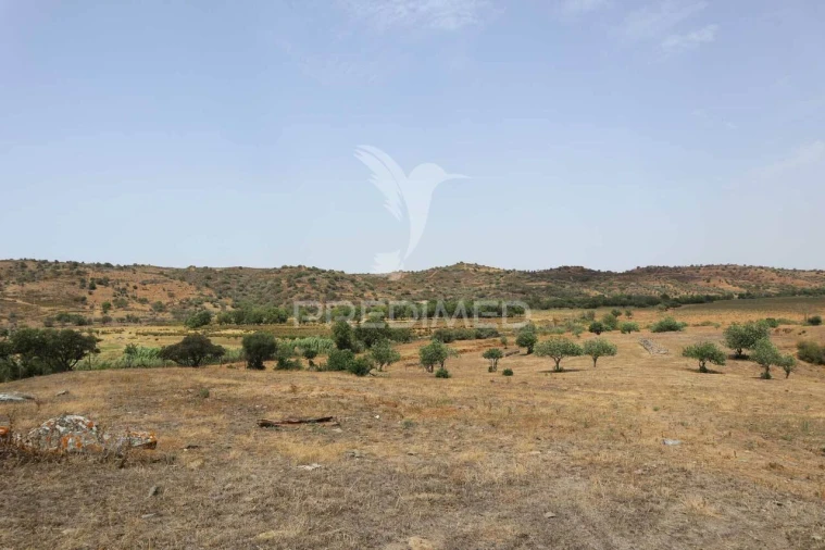 Terreno para Venda em Castro Marim Foto 25
