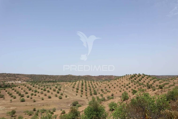 Terreno para Venda em Castro Marim Foto 10
