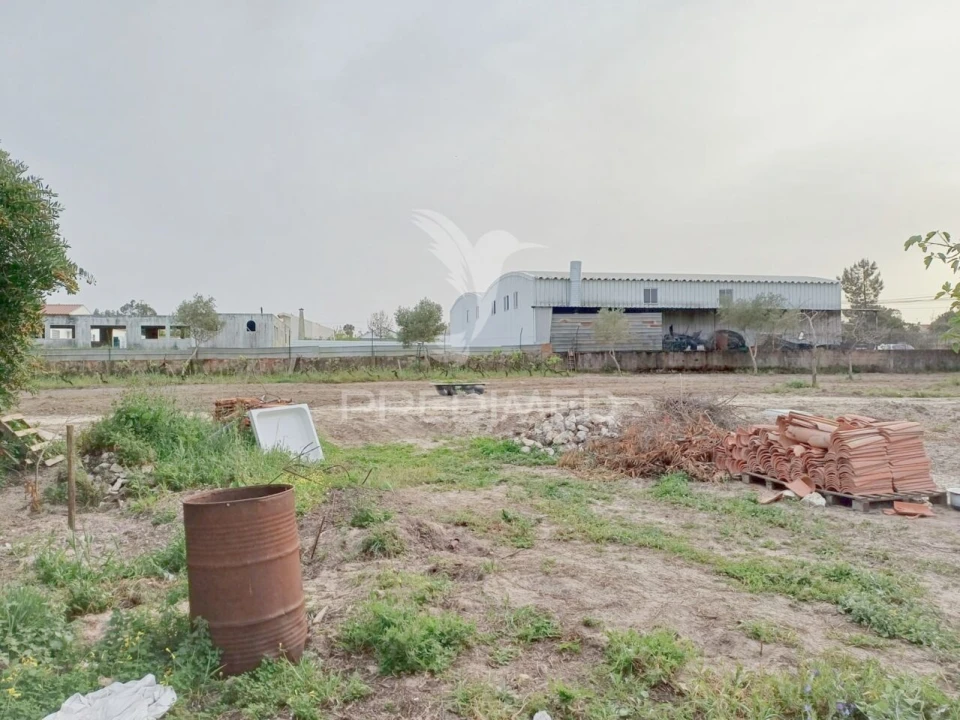 Terreno para Venda em Fernao Ferro Foto 10