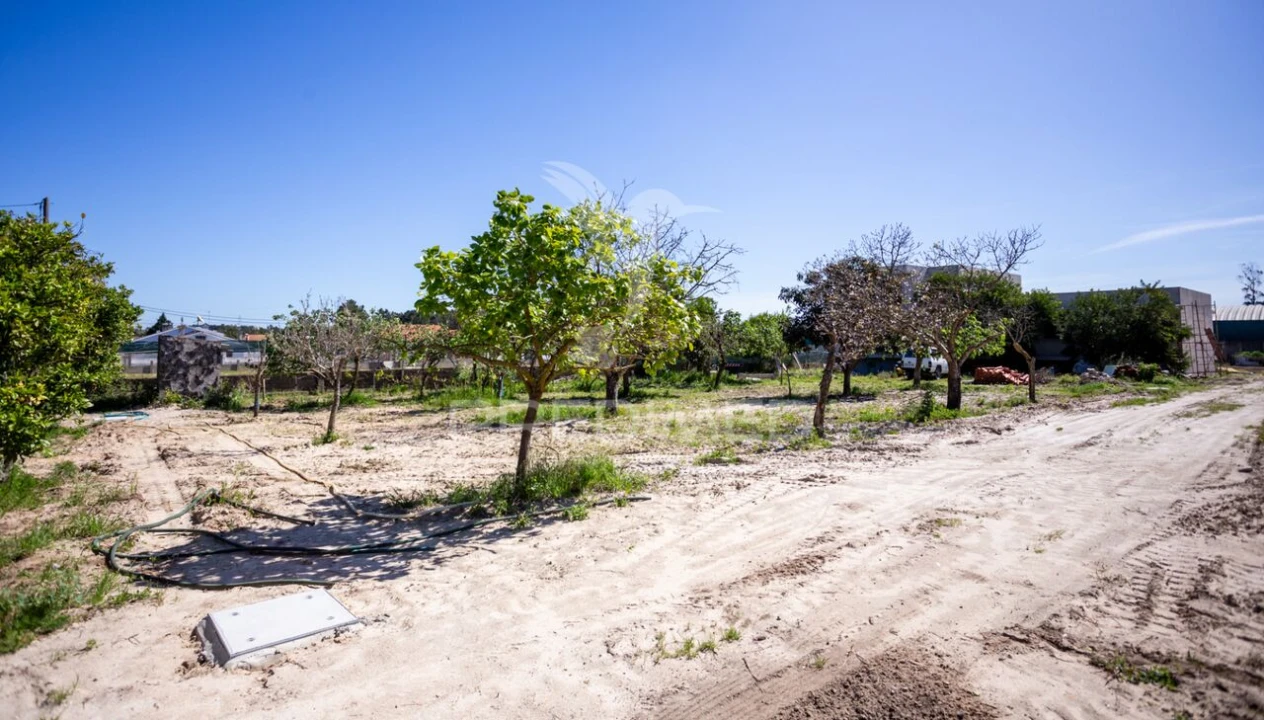 Terreno para Venda em Fernao Ferro Foto 30