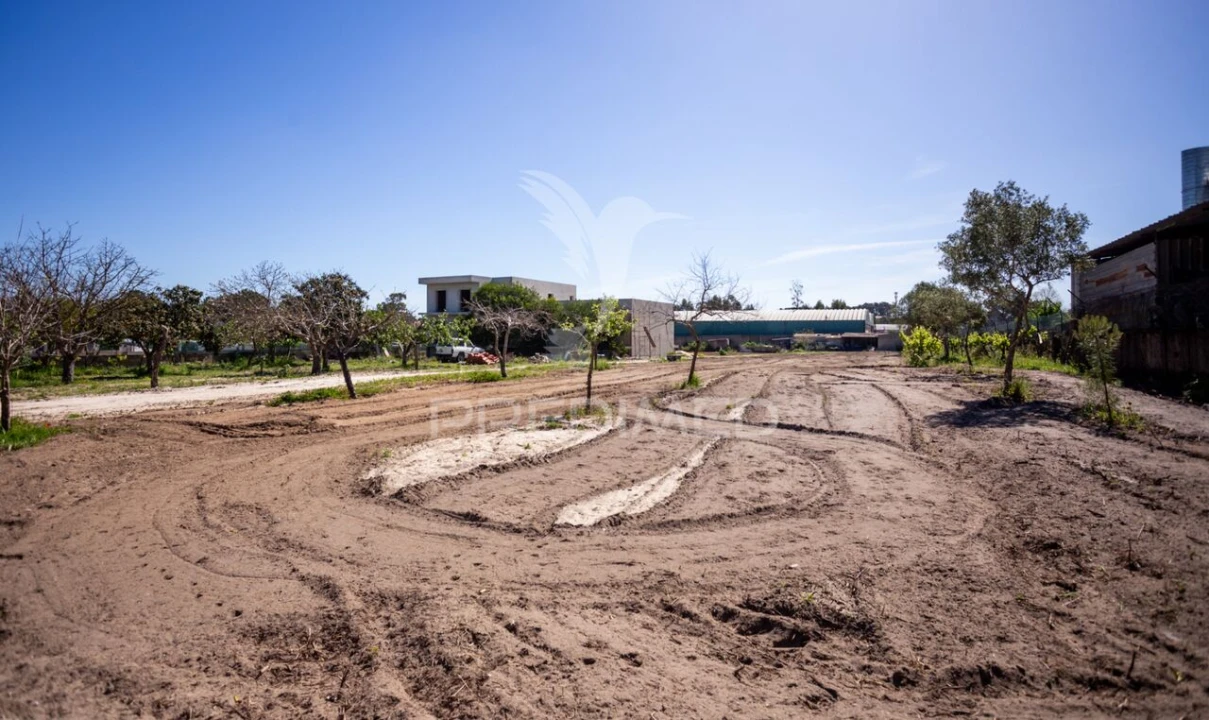 Terreno para Venda em Fernao Ferro Foto 32
