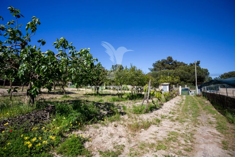 Terreno para Venda em Fernao Ferro Foto 28