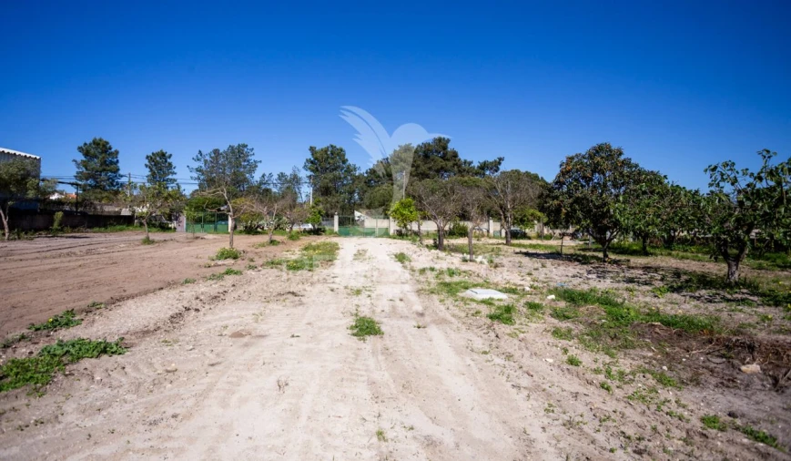 Terreno para Venda em Fernao Ferro Foto 29