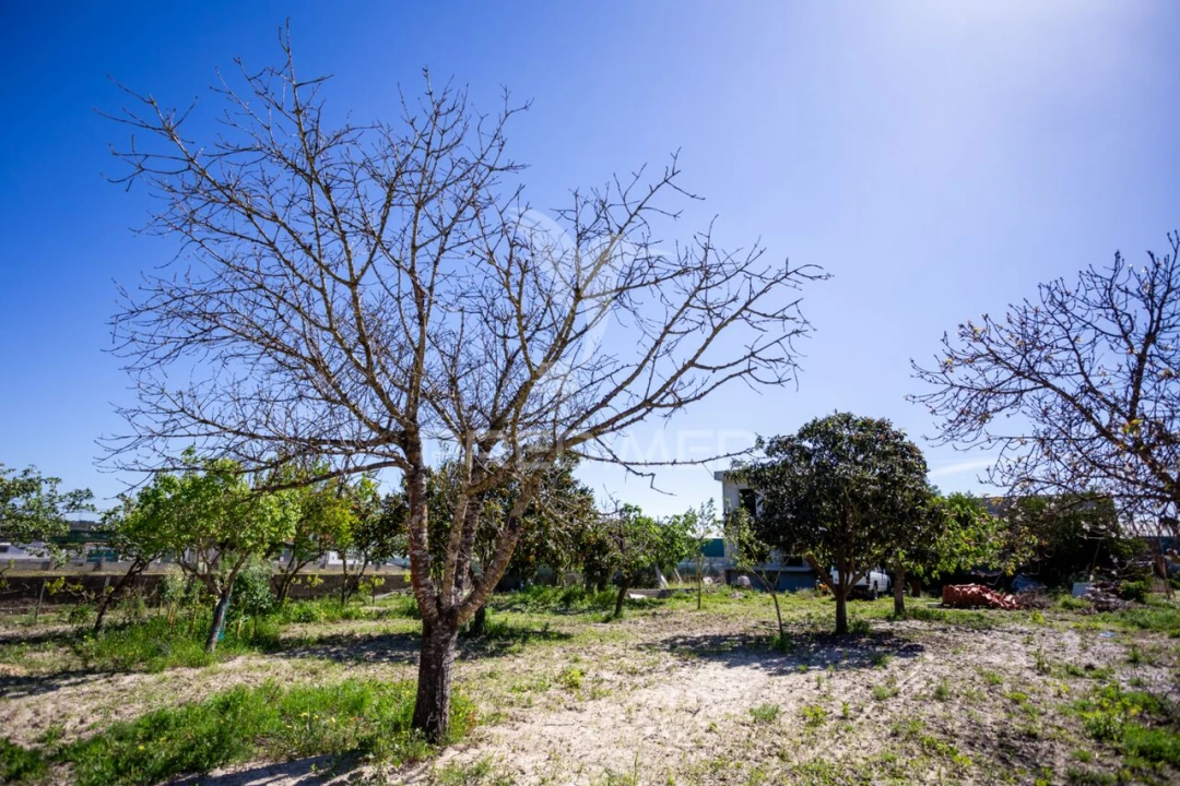 Terreno para Venda em Fernao Ferro Foto 33