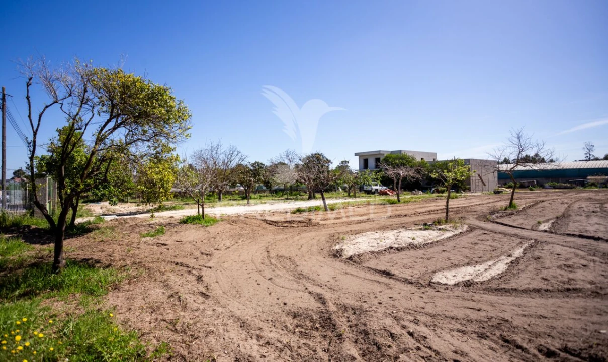 Terreno para Venda em Fernao Ferro Foto 31