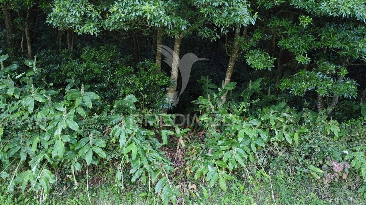 Terreno para Venda em Fontinhas Foto 3