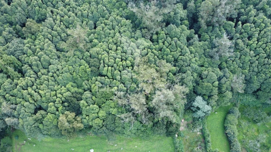 Terreno para Venda em Fontinhas Foto 9