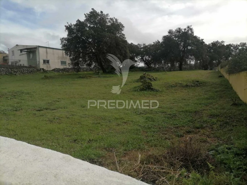 Terreno para Venda em Alagoa Foto 4