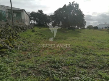 Terreno para Venda em Alagoa