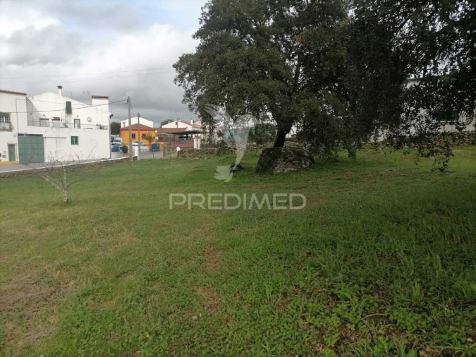 Terreno para Venda em Alagoa Foto 7