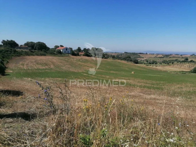 Terreno para Venda em Abitureiras Foto 2