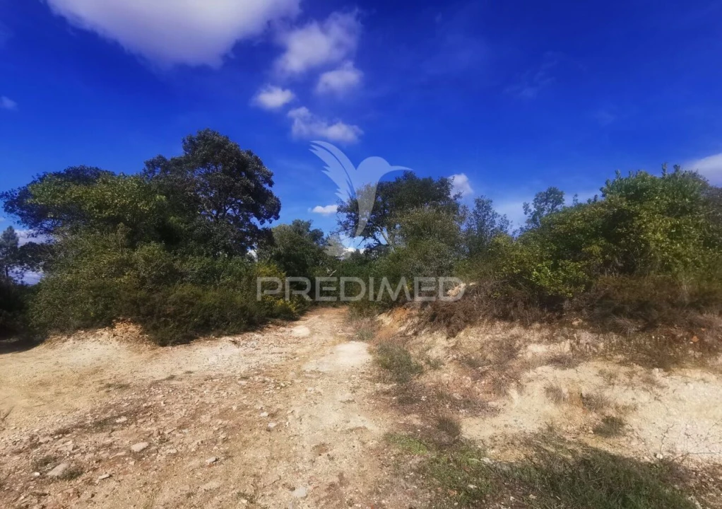 Terreno para Venda em Atalaia Foto 8