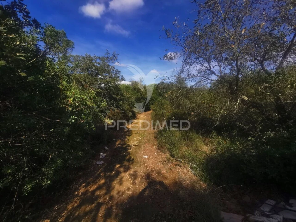 Terreno para Venda em Atalaia Foto 2