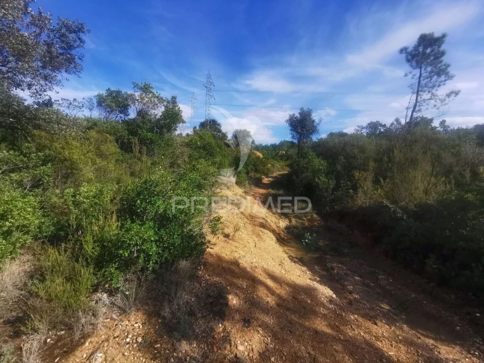 Terreno para Venda em Atalaia Foto 9