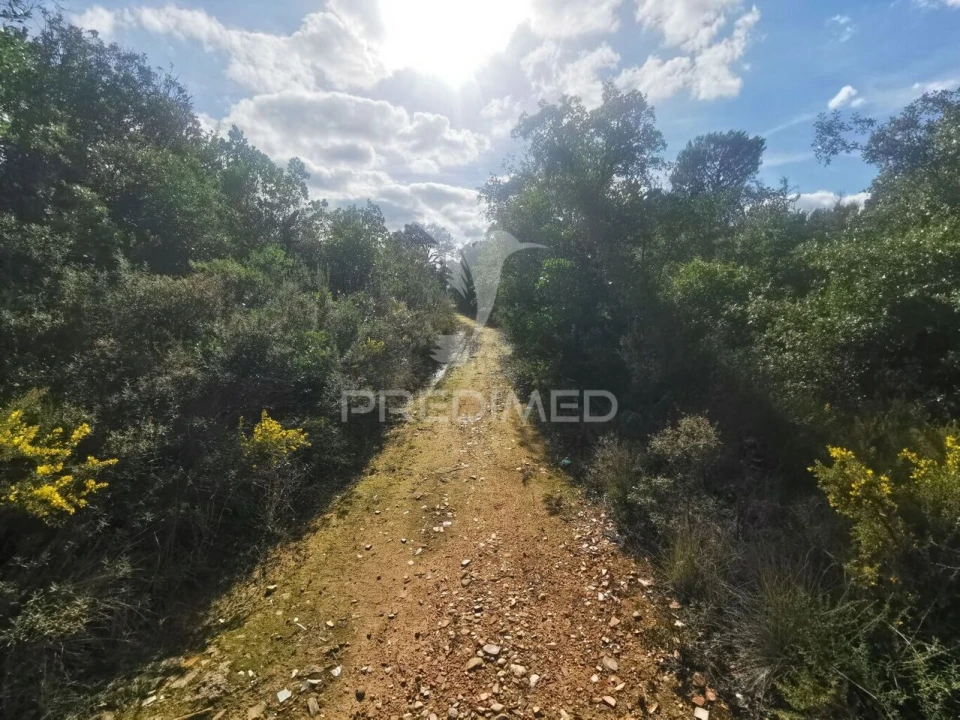 Terreno para Venda em Atalaia Foto 14