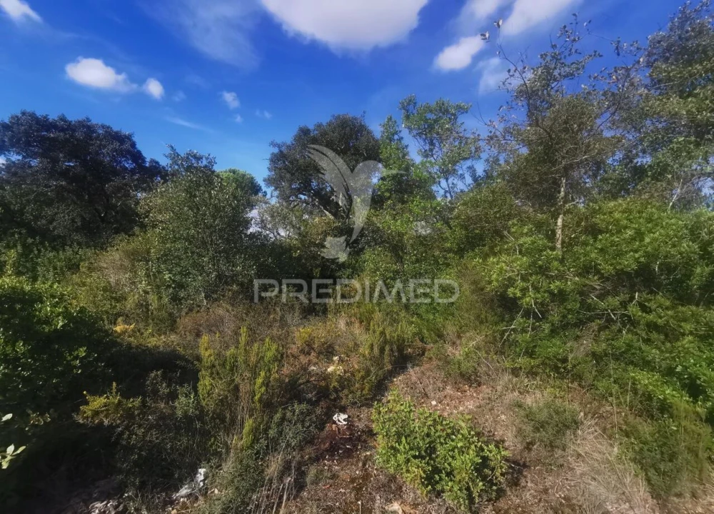 Terreno para Venda em Atalaia Foto 10