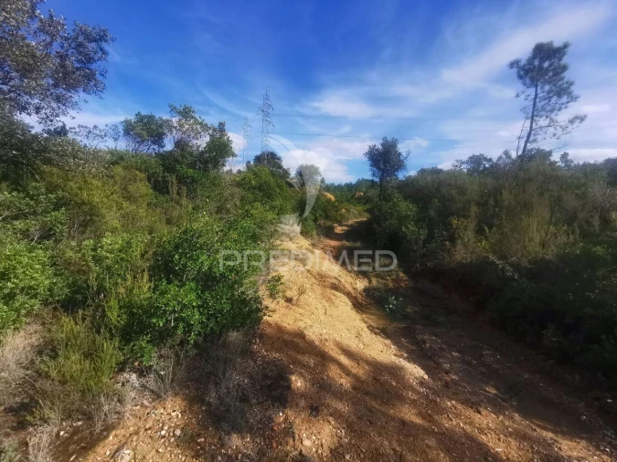 Terreno para Venda em Atalaia Foto 9