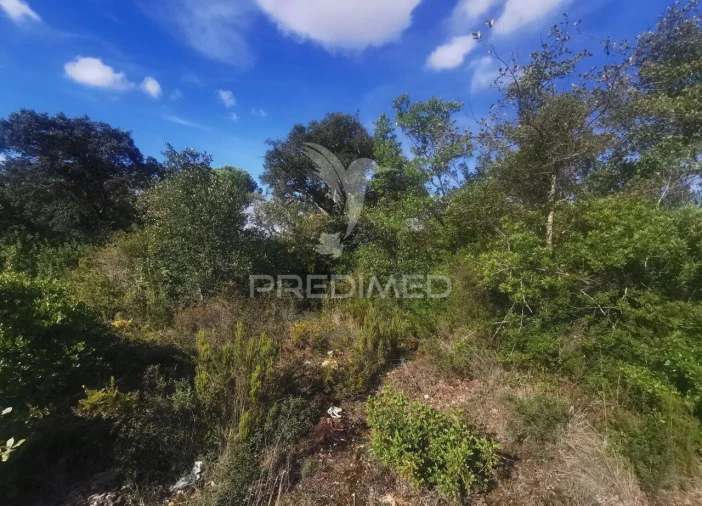 Terreno para Venda em Atalaia Foto 10