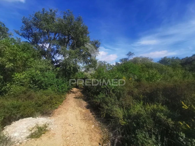 Terreno para Venda em Atalaia Foto 12