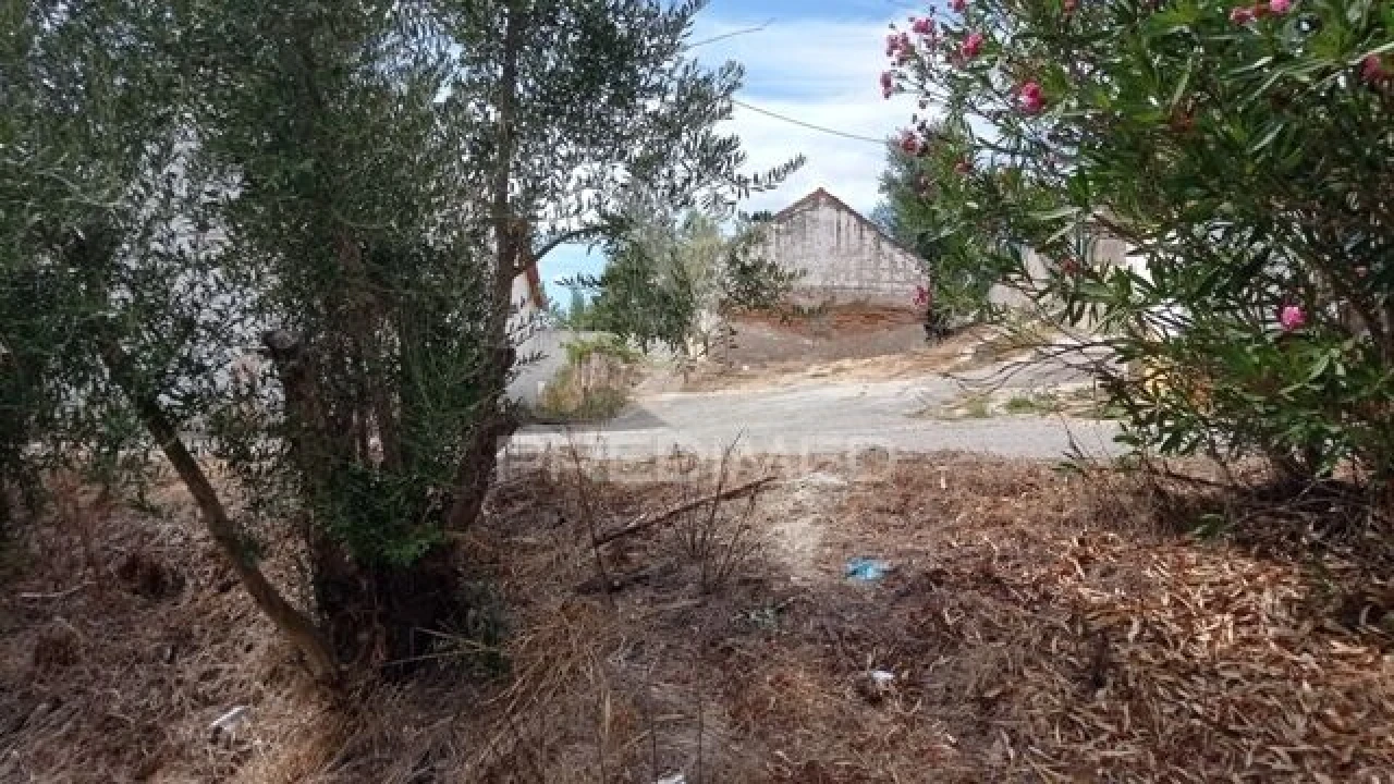 Moradia T0 para Venda em Montargil Foto 3