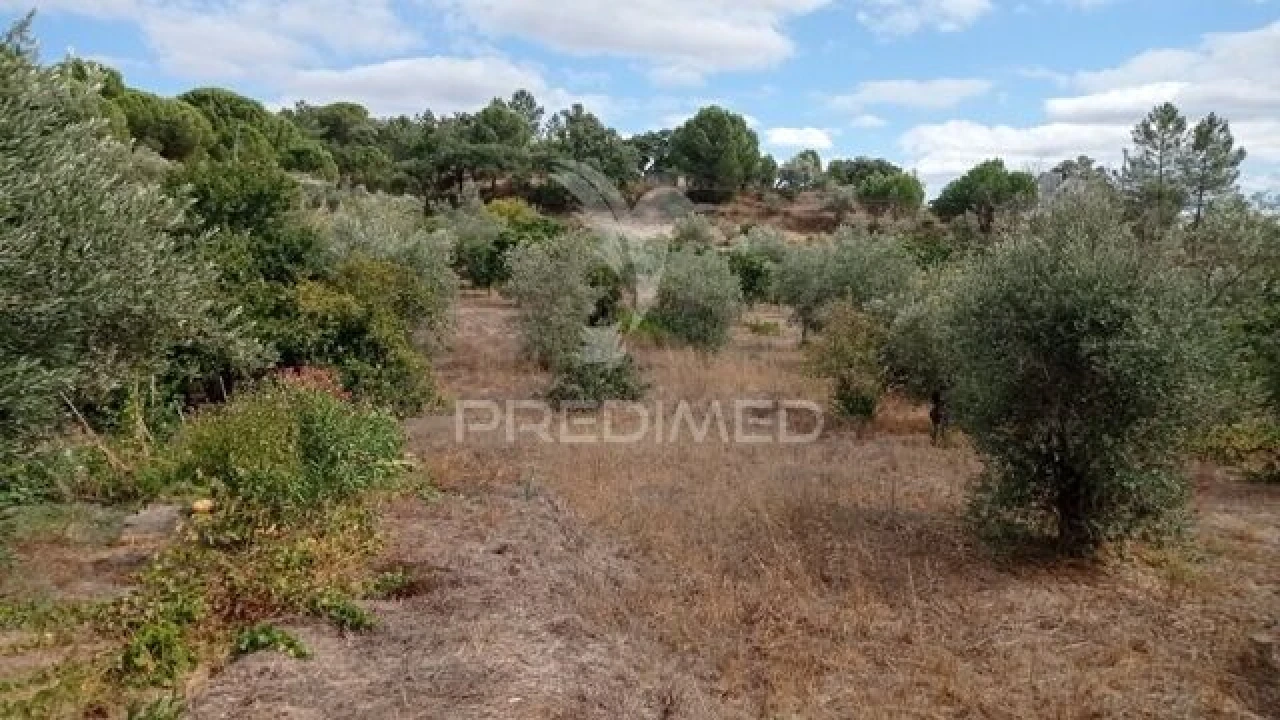 Moradia T0 para Venda em Montargil Foto 2