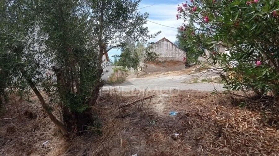 Moradia T0 para Venda em Montargil Foto 3