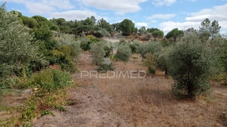 Moradia T0 para Venda em Montargil Foto 2