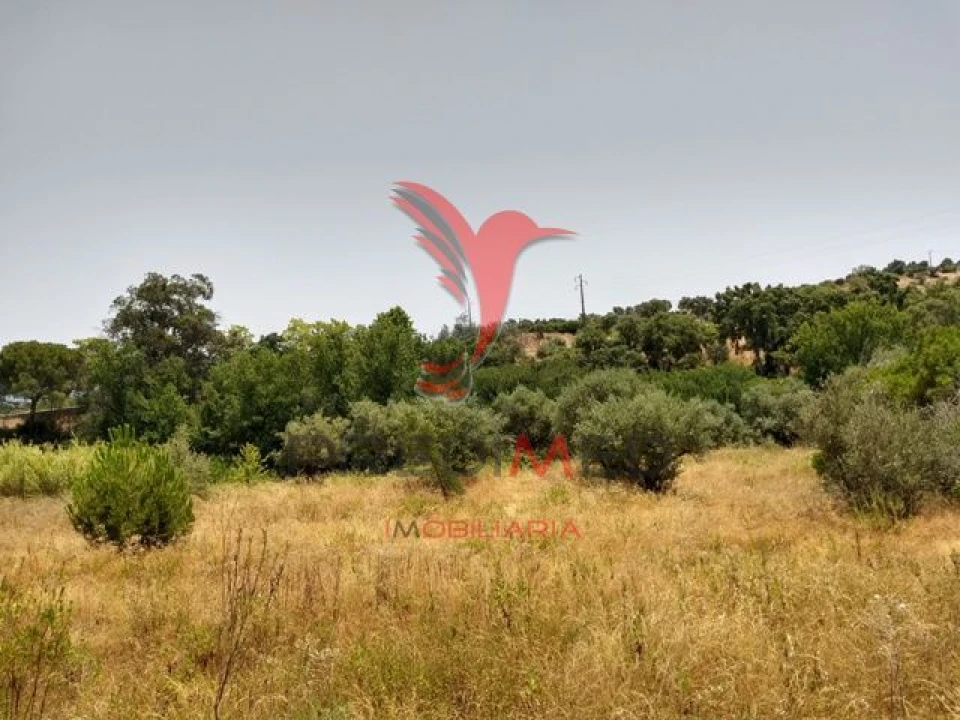 Terreno para Venda em Montargil Foto 6