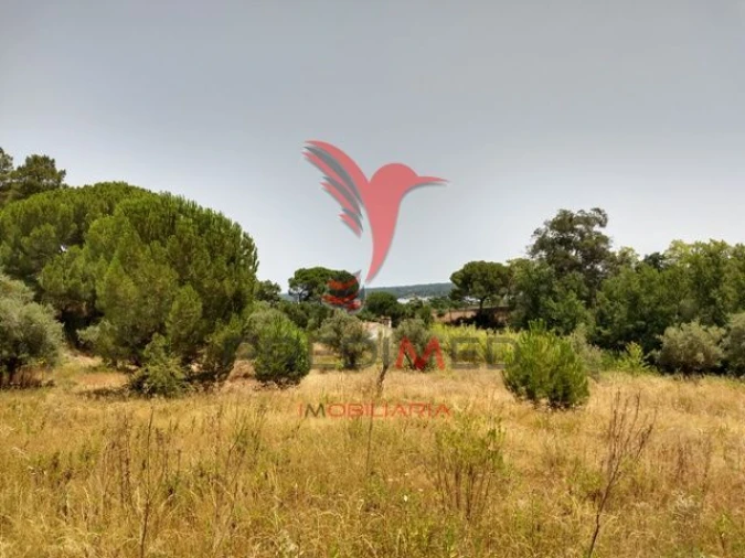 Terreno para Venda em Montargil Foto 3