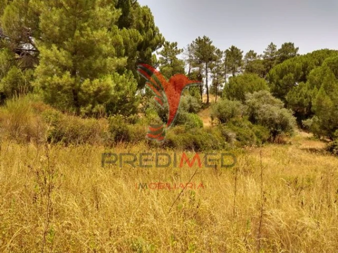 Terreno para Venda em Montargil Foto 5