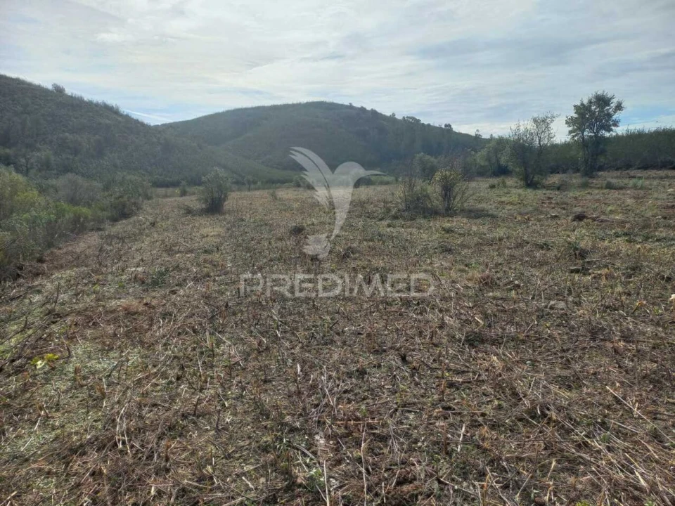 Terreno para Arrendamento em Portimão Foto 2